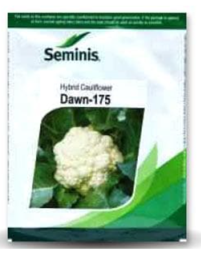 DAWN 175 CAULIFLOWER