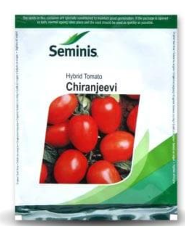 CHIRANJEEVI TOMATO ( चिरंजीवी टमाटर )