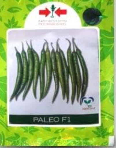 PALEO CHILLI SEEDS
