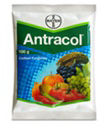 Antracol Fungicide