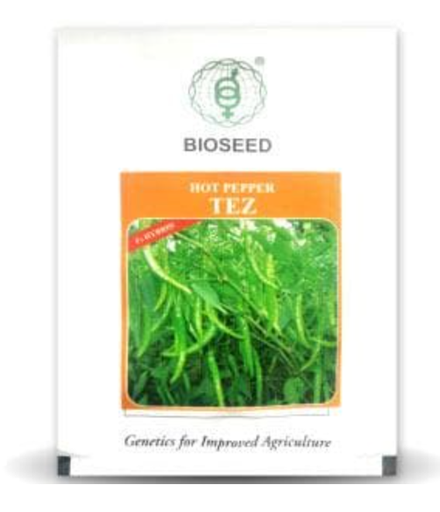 TEZ CHILLI