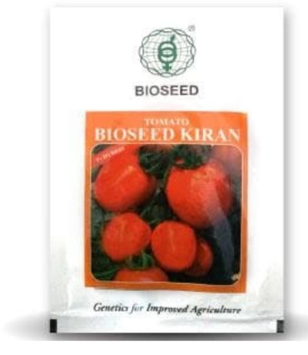 KIRAN TOMATO ( किरण टमाटर )