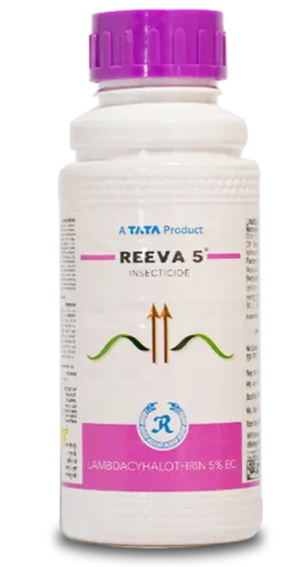 Reeva 5 Insecticide