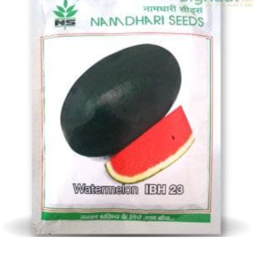 NS 23 పుచ్చకాయ/ తర్భుజా (IBH 23 పుచ్చకాయ/ తర్భుజా )