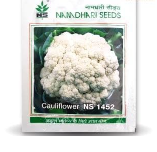 NS 1452 CAULIFLOWER SEEDS