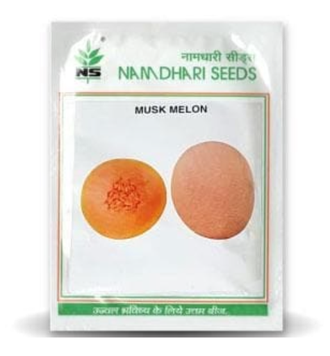 NS 7455 F1 MUSKMELON