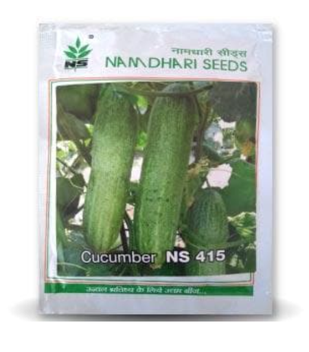 NS 415 F1 Hybrid Cucumber Seeds