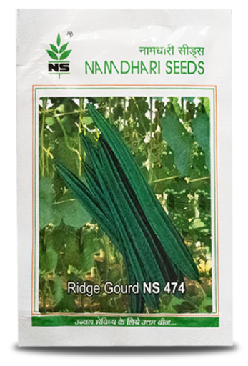 NS 474 F1 Hybrid Ridge Gourd Seeds