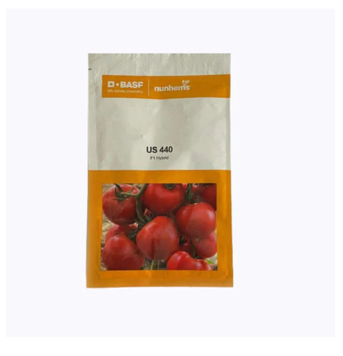 US 440 Tomato Seeds