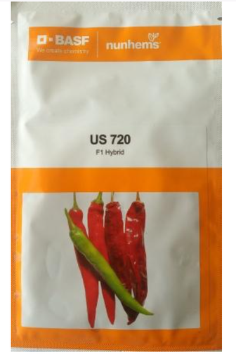 US 720 CHILLI SEEDS