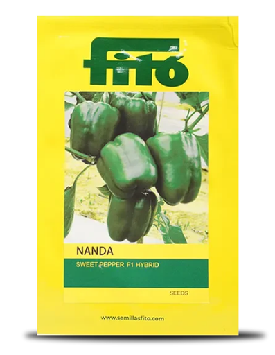 नंदा शिमला मिर्च