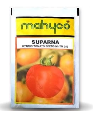 SUPARNA TOMATO SEEDS ( सुपर्णा टमाटर )