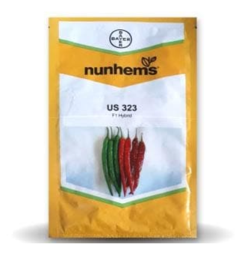 US 323 CHILLI