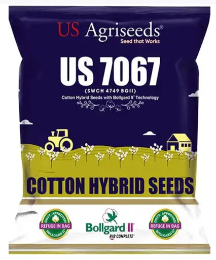 US 7067 BG II (SWCH 4749 BG II) COTTON