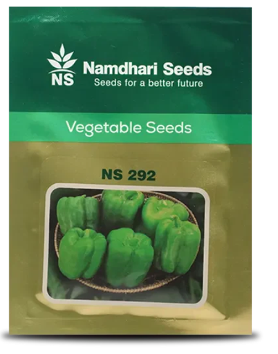 एनएस 292 एफ1 संकर शिमला मिर्च के बीज