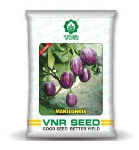 Manjushree F1 Hybrid Brinjal Seeds