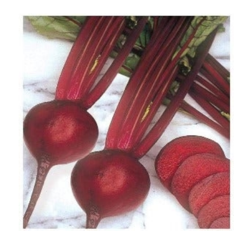 SIKANDAR BEETROOT SEEDS