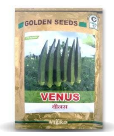 VENUS BHENDI (OKRA) ( वीनस भिंडी )