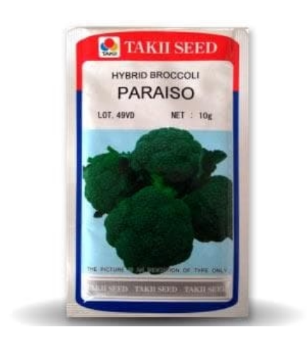 PARAISO BROCCOLI