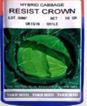 RESIST CROWN CABBAGE F1