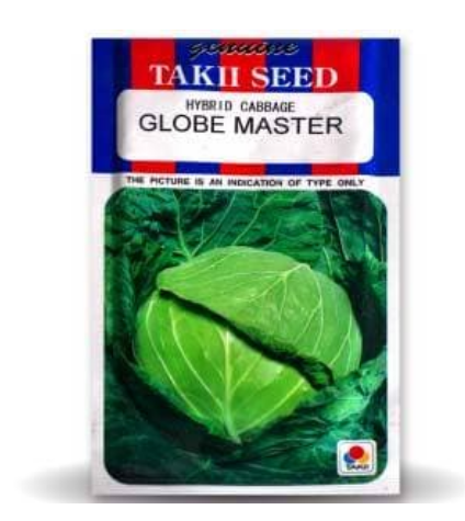 GLOBE MASTER CABBAGE F1