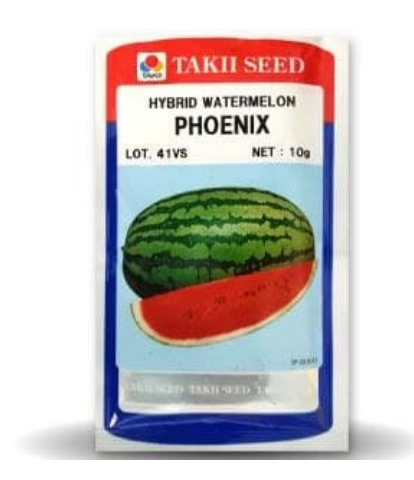 PHOENIX F1 WATERMELON