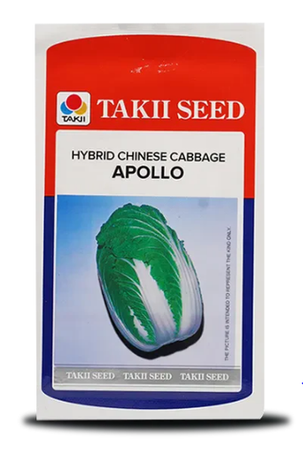 APOLLO CHINESE CABBAGE F1
