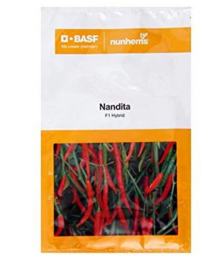 NANDITA CHILLI