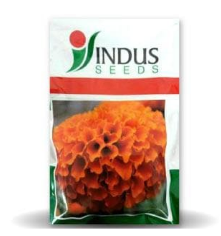 गहरा नारंगी गेंदा