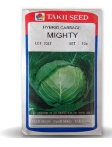 MIGHTY CABBAGE F1