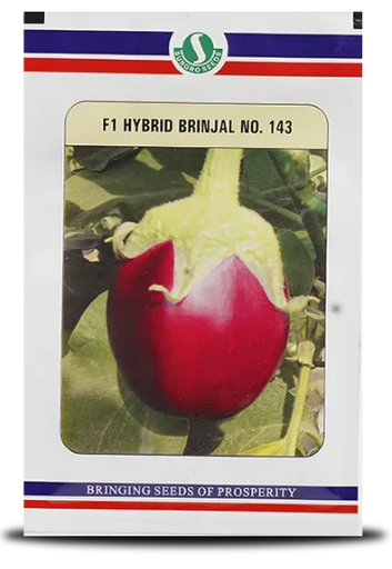 143 F1 Hybrid Brinjal Seeds