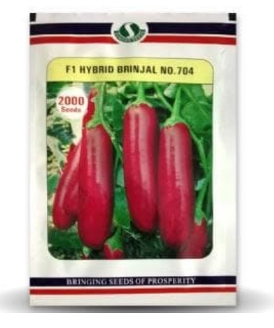 704 F1 Hybrid Brinjal Seeds