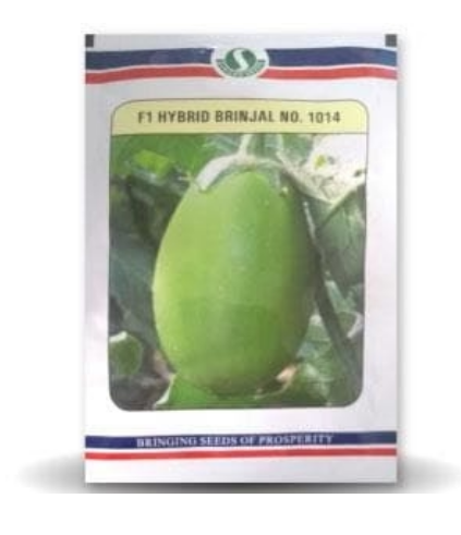 1014 F1 Hybrid Brinjal Seeds