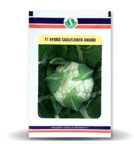 ANANDI CAULIFLOWER SEEDS