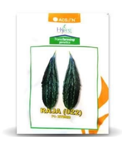 RAJA BITTERGOURD (राजा करेला )