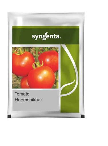 Heemshikhar Tomato Seeds – High Yield, Ideal for Long-Distance Transportation