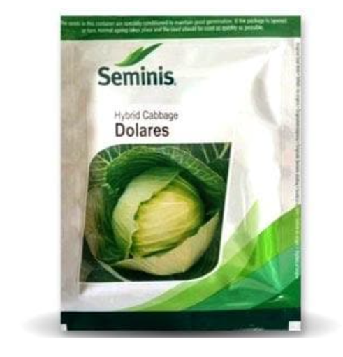 DOLARES CABBAGE