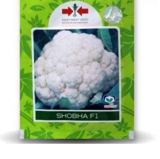SHOBHA F1 CAULIFLOWER