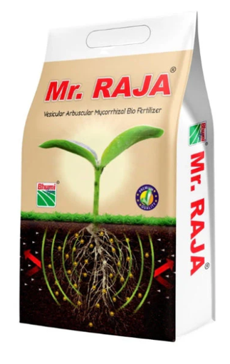 BHUMI MR RAJA