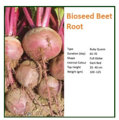 BIOSEED BEET ROOT