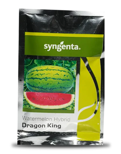 Dragon King Watermelon Seeds: High Yield, Sweet, Crisp Fruits