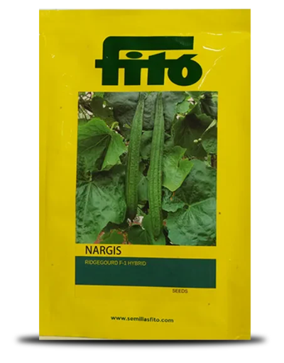 NARGIS RIDGE GOURD ( नरगिस तुरई )