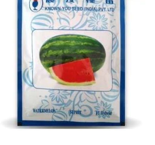 SUPRIT (सुप्रीत) WATER MELON
