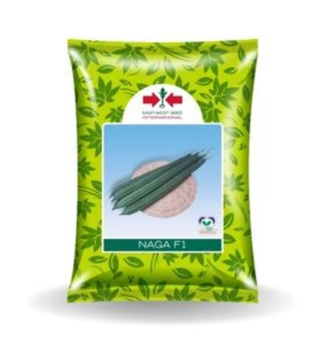 Naga Ridge Gourd Seeds – High Yield & Vigorous Growth