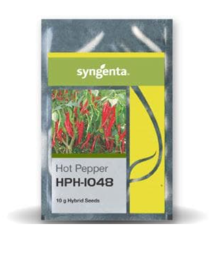 HPH 1048 మిరప