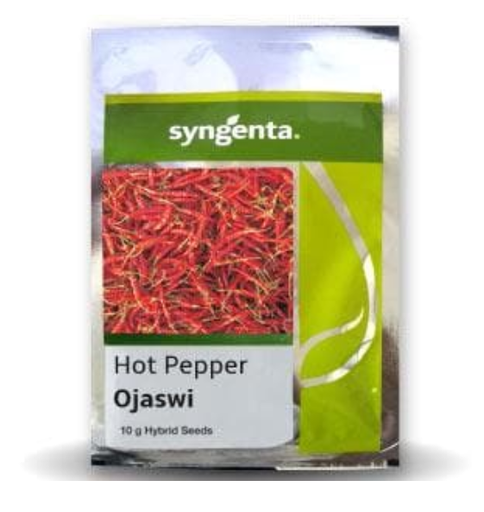 OJASWI CHILLI (HPH-017)