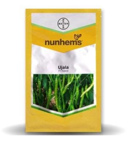 ఉజాల మిరప విత్తనాలు