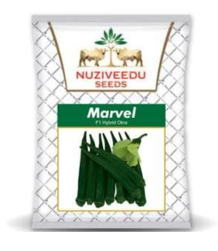 MARVEL BHENDI (OKRA) ( मार्वल भिंडी )