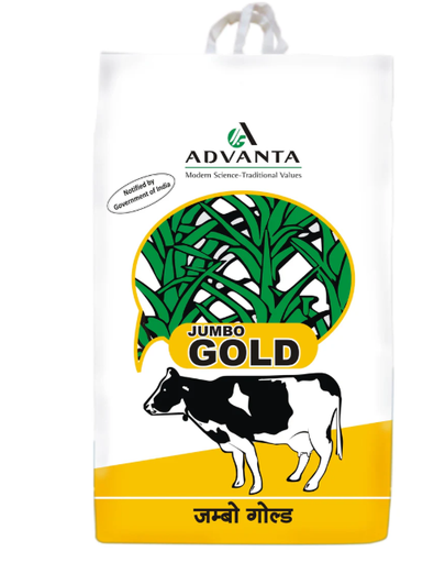 JUMBO GOLD FORAGE SEEDS