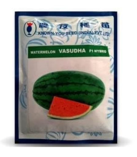 VASUDHA WATER MELON